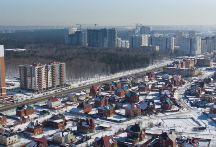 Роща, которую хотят сдать в аренду под строительство Роща, которую хотят сдать в аренду под строительство