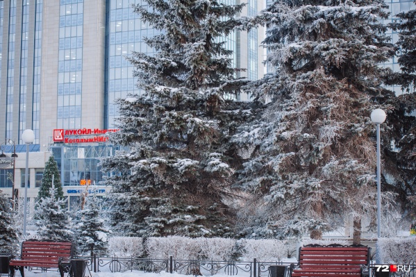 По словам синоптиков, в городе потеплеет до конца этой недели По словам синоптиков, в городе потеплеет до конца этой недели 