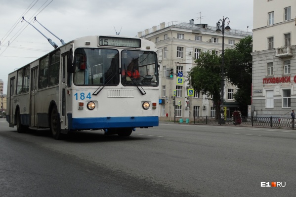 С 1 августа троллейбусы № 15 будут курсировать до радиоколледжа на Крауля С 1 августа троллейбусы № 15 будут курсировать до радиоколледжа на Крауля 