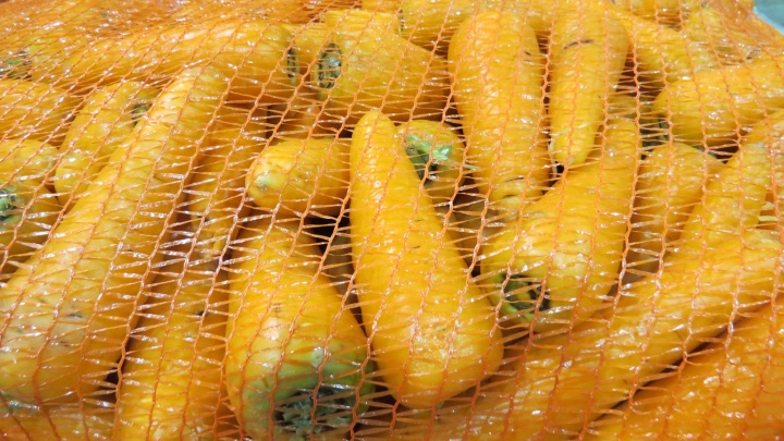 Благословленную морковь замораживают в шоке. Собираем урожай в Нижегородской области
