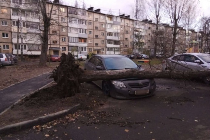 Берегите автомобили! Берегите автомобили!
