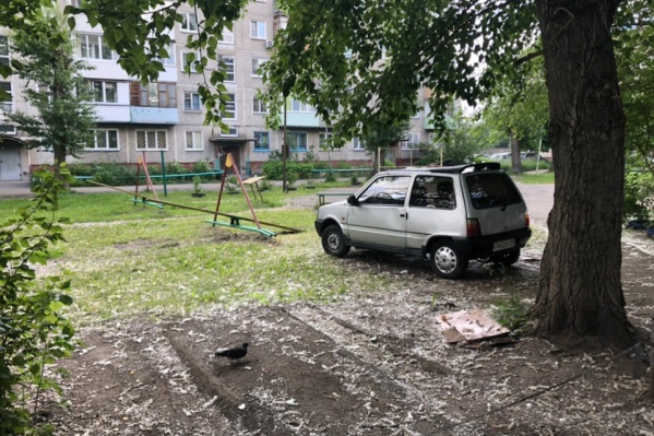 Под сенью дерева Под сенью дерева