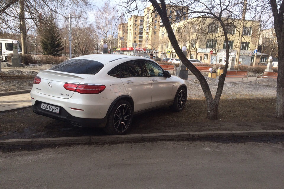 Немецкий сорняк Немецкий сорняк