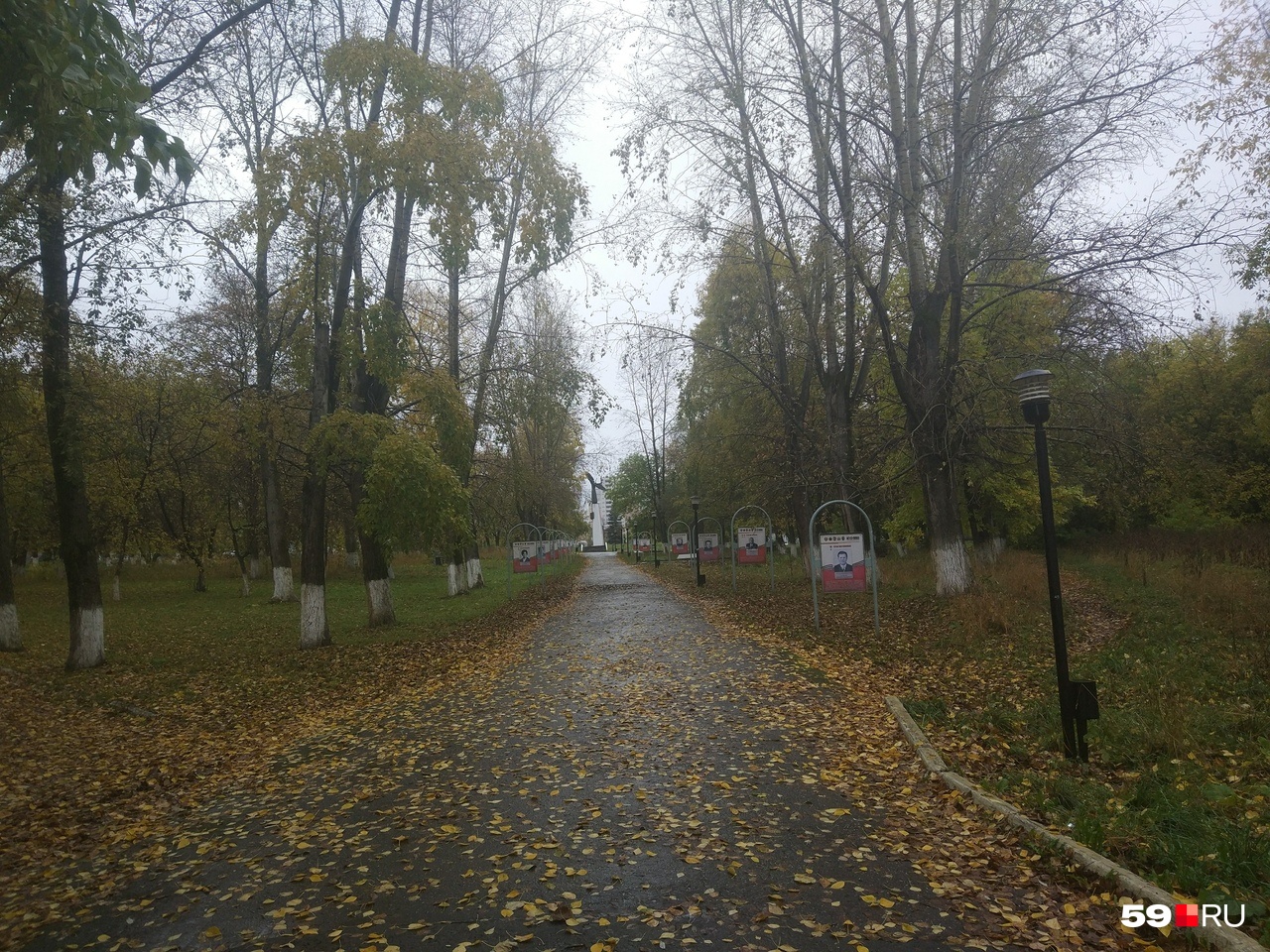 13:20. Пусто даже на аллеях, но красиво, несмотря на погоду 13:20. Пусто даже на аллеях, но красиво, несмотря на погоду