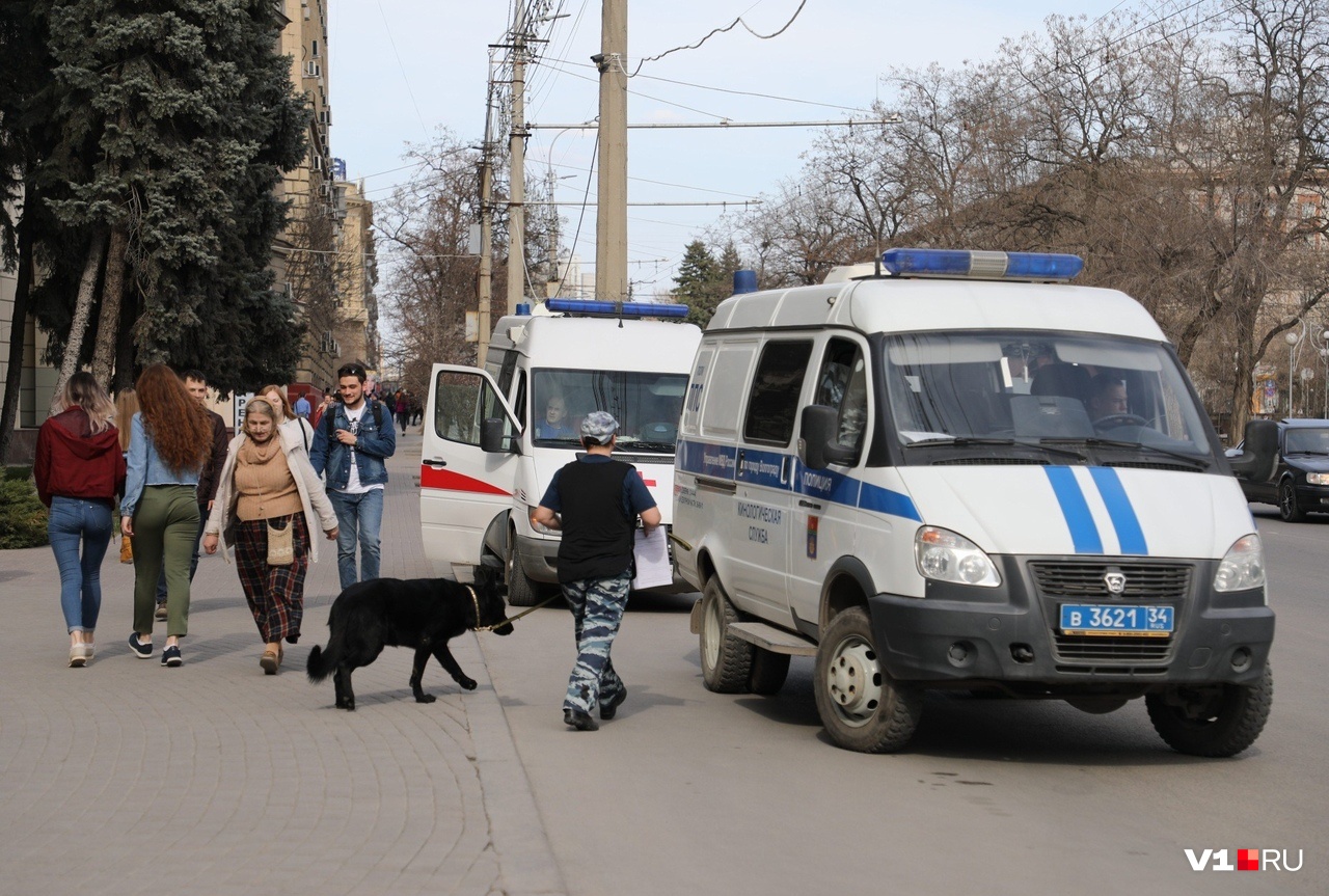 19 школ и 6 больниц: в Волгограде неизвестные 11 апреля «заминировали» больше 40 учреждений