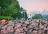 Пора фестивалить: 15 крутых опен-эйров, ради которых стоит проехать через всю страну