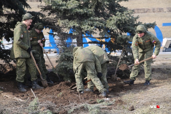 Решение приютить елочки приняли в руководстве части Решение приютить елочки приняли в руководстве части 