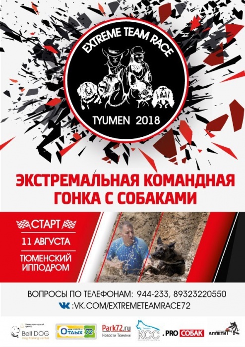 Смотрим экстрим-гонки на собаках, идем на гаражную распродажу: 15 идей для выходных в Тюмени