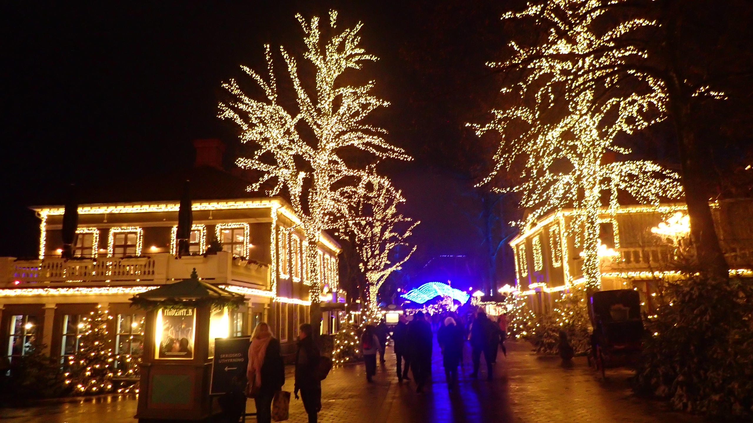 архангельск в новогоднюю ночь. новогодний архангельск. архангельск чумбарова 2021. чумбаровка архангельск зимой. архангельск зимой 2021.