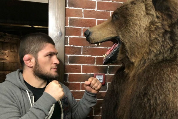 Российский чемпион UFC Хабиб Нурмагомедов Российский чемпион UFC Хабиб Нурмагомедов
