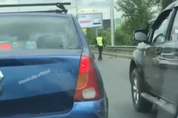 Водители терпеливо наблюдали за спасением птиц Водители терпеливо наблюдали за спасением птиц