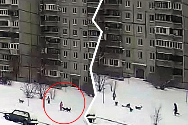 Дети гуляли недалеко от жилого дома Дети гуляли недалеко от жилого дома