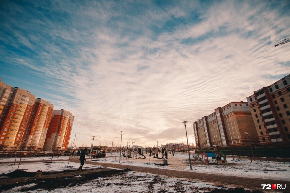 В прошлом году в городе высадили 4 830 деревьев и 20 015 кустарников<br> В прошлом году в городе высадили 4 830 деревьев и 20 015 кустарников<br>