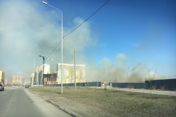Трава горит не только в лесах, но и в самом Челябинске — рядом с жилыми домами Трава горит не только в лесах, но и в самом Челябинске — рядом с жилыми домами