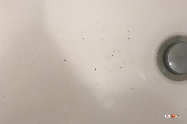Вода оставляет следы смолы и жирные пятна Вода оставляет следы смолы и жирные пятна