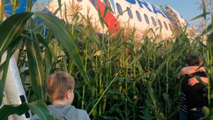 «Всех птиц не распугаешь»: уральский орнитолог — об аварийной посадке самолета на кукурузном поле