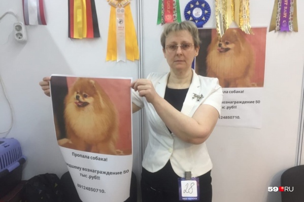 Марина готова отдать за Симу 150 тысяч рублей или лучшего щенка померанского шпица Марина готова отдать за Симу 150 тысяч рублей или лучшего щенка померанского шпица