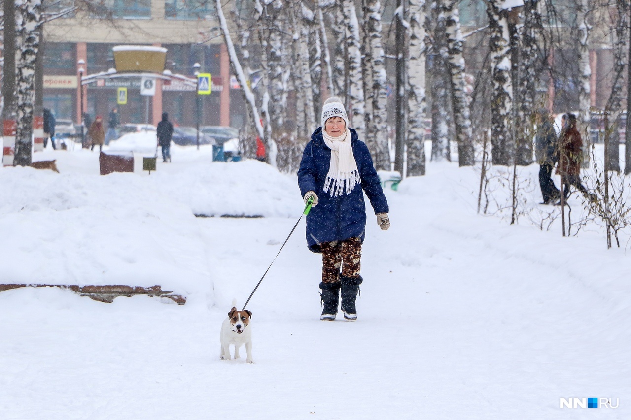 Прогноз погоды. Нижний Новгород засыпает снежок