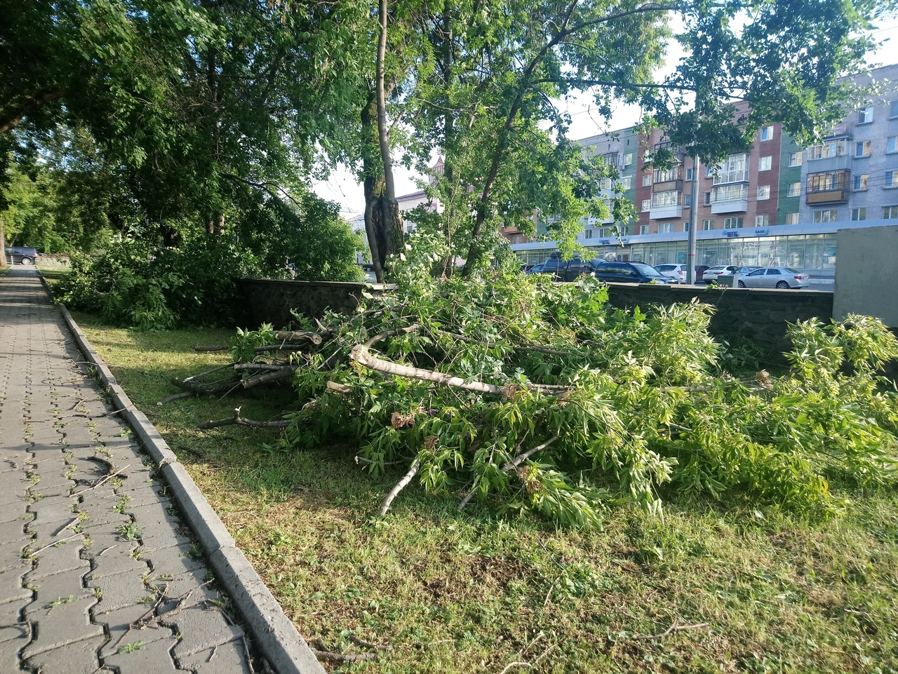 Город начинают приводить в порядок Город начинают приводить в порядок