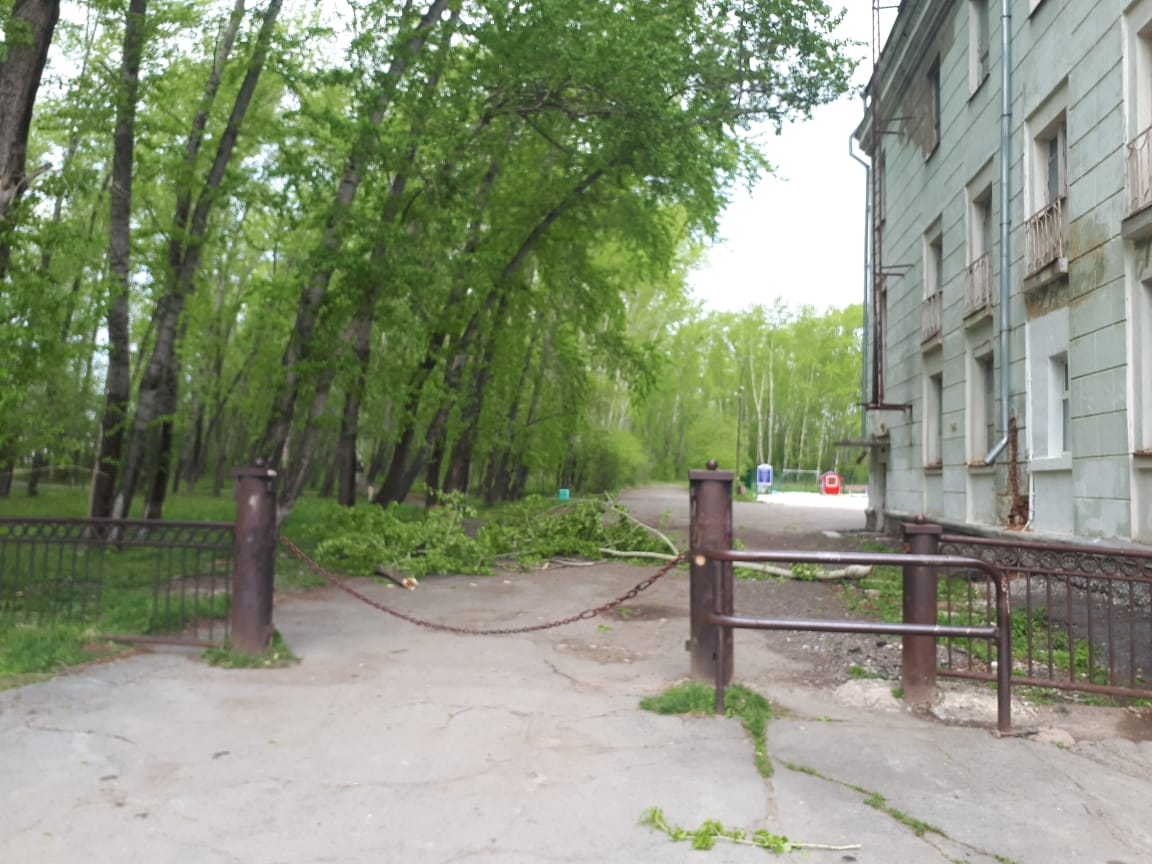 Жительница Свердловской области, на которую упал тополь, приехала в Башкирию на реабилитацию