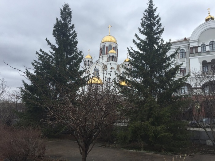 По мнению Николая Коляды, в этом садике можно устраивать летние спектакли длительностью около 40 минут По мнению Николая Коляды, в этом садике можно устраивать летние спектакли длительностью около 40 минут