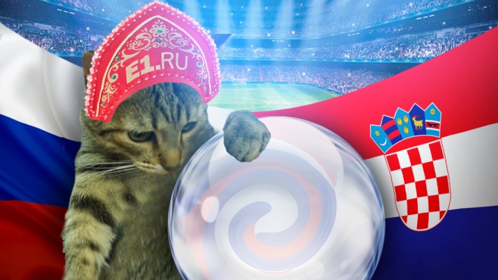 Кошка E1.RU предсказала результат: сборная России проведет исторический матч с Хорватией