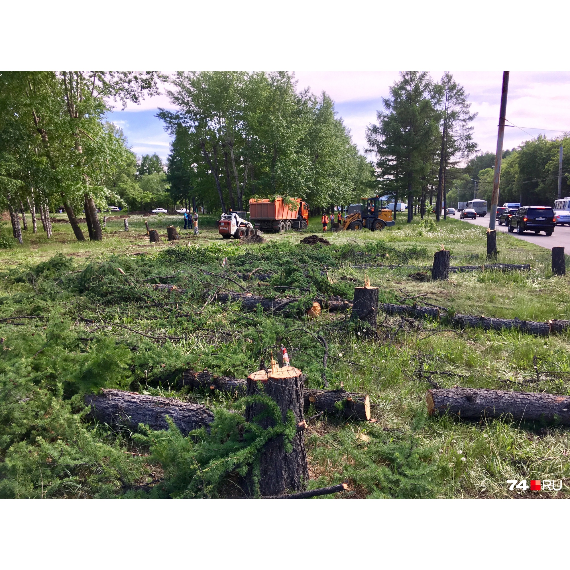 «Не так поняли»: на кольце Блюхера — Дарвина в Челябинске продолжили вырубку деревьев