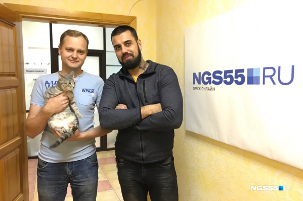 Три котика, и все из них — корреспонденты NGS55.RU Три котика, и все из них — корреспонденты NGS55.RU 