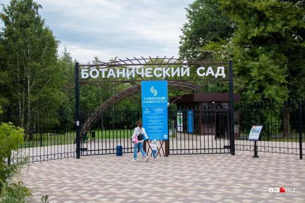 Ботанический сад открыли для посетителей в конце июня Ботанический сад открыли для посетителей в конце июня 