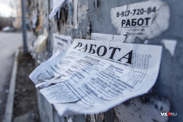 В регионе активно ищут работу <nobr class="_">71 700</nobr> волгоградцев В регионе активно ищут работу <nobr class="_">71 700</nobr> волгоградцев