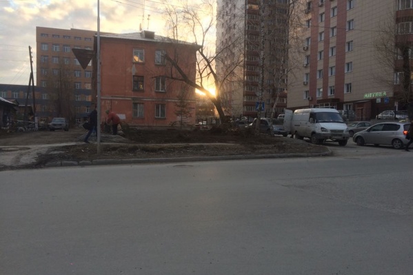 Предприниматель незаконно вырубил деревья во дворе дома Предприниматель незаконно вырубил деревья во дворе дома