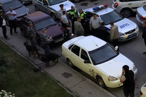 Во двор приехало множество полицейских Во двор приехало множество полицейских