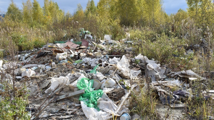 Алебашево чистят, а вокруг залежи мусора: тюменцы нашли на берегу озера свалки и слив жидких отходов