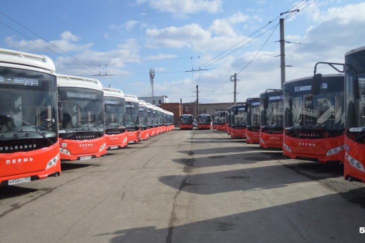 Сейчас в Перми уже все 85 автобусов, но сроки поставки были нарушены