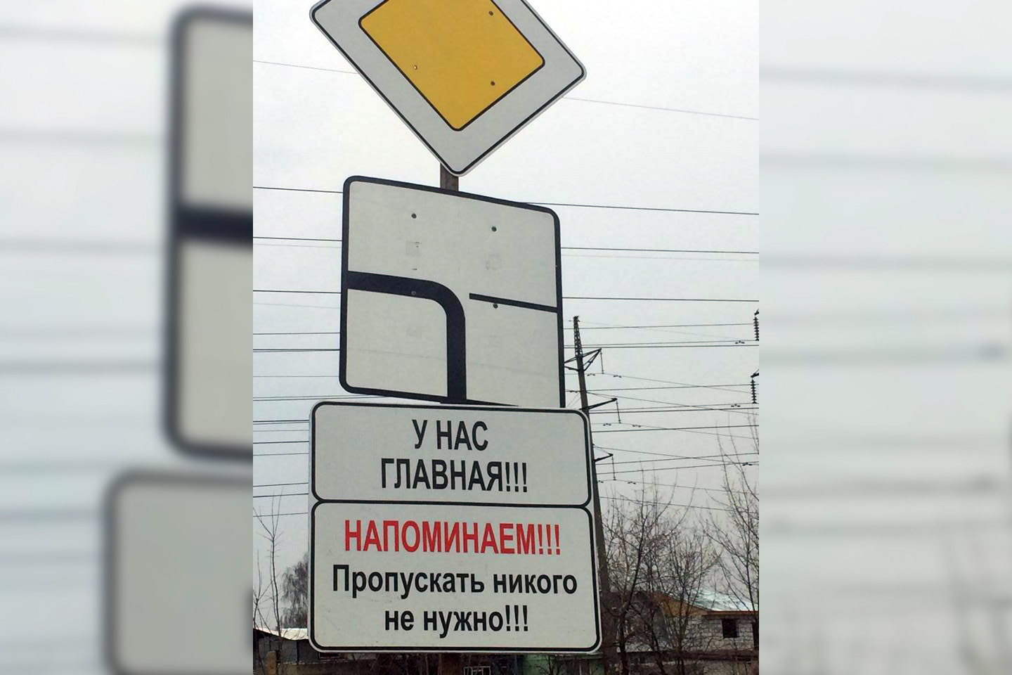 «У нас главная!» Новый дорожный знак появился в Нижнем Новгороде