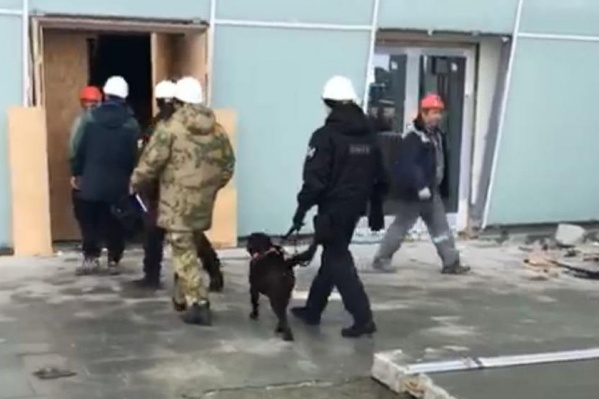 Вместе с полицейскими были и собаки, искавшие взрывные устройства Вместе с полицейскими были и собаки, искавшие взрывные устройства
