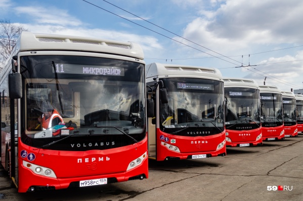 Такие автобусы закупили для Перми в прошлом году Такие автобусы закупили для Перми в прошлом году