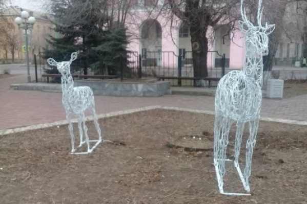 В Волжском продолжается оленья «охота» В Волжском продолжается оленья «охота»