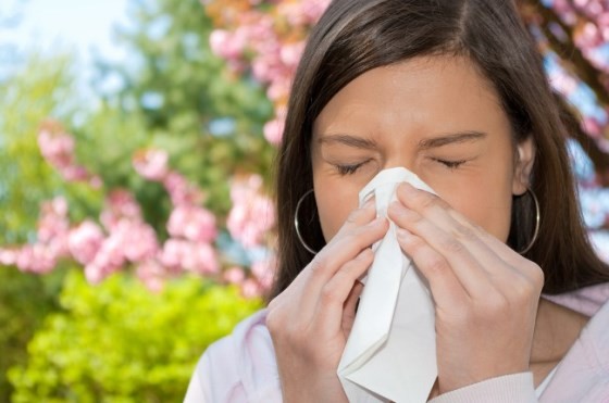 "Концентрация аллергенов в воздухе возрастет": врачи предупреждают о пике сезонной аллергии