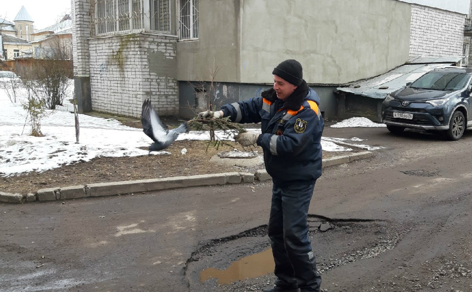 Спасатели быстро поймали голубя Спасатели быстро поймали голубя