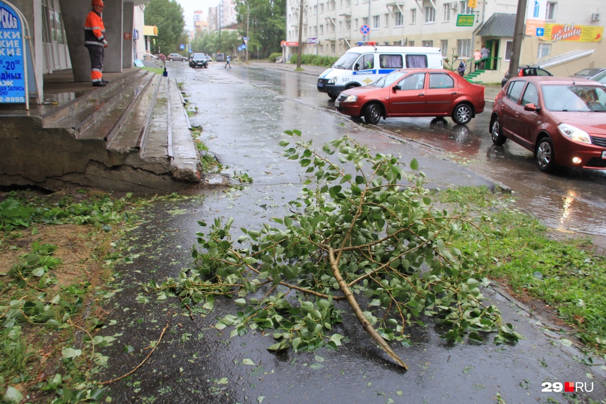 Ураган архангельск. Ураган в Архангельске. Шторм в Архангельске. Эхо шторма.