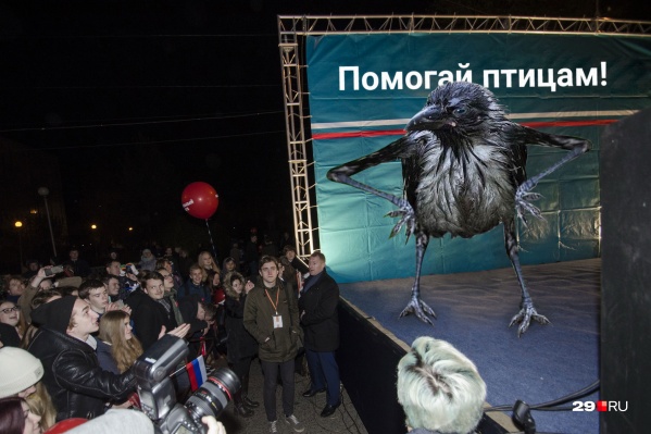 3 февраля на площади Терёхина вместо антимусорного митинга пройдет акция «Трудно птицам зимовать — надо птахам помогать» 3 февраля на площади Терёхина вместо антимусорного митинга пройдет акция «Трудно птицам зимовать — надо птахам помогать»