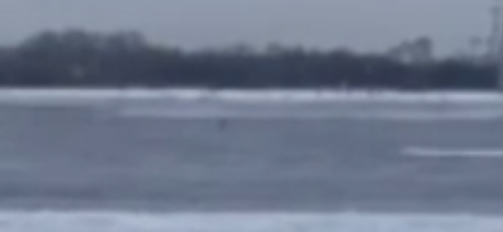 Нижегородский «мамонтенок»: очевидцы сняли на видео рыбака на льдине