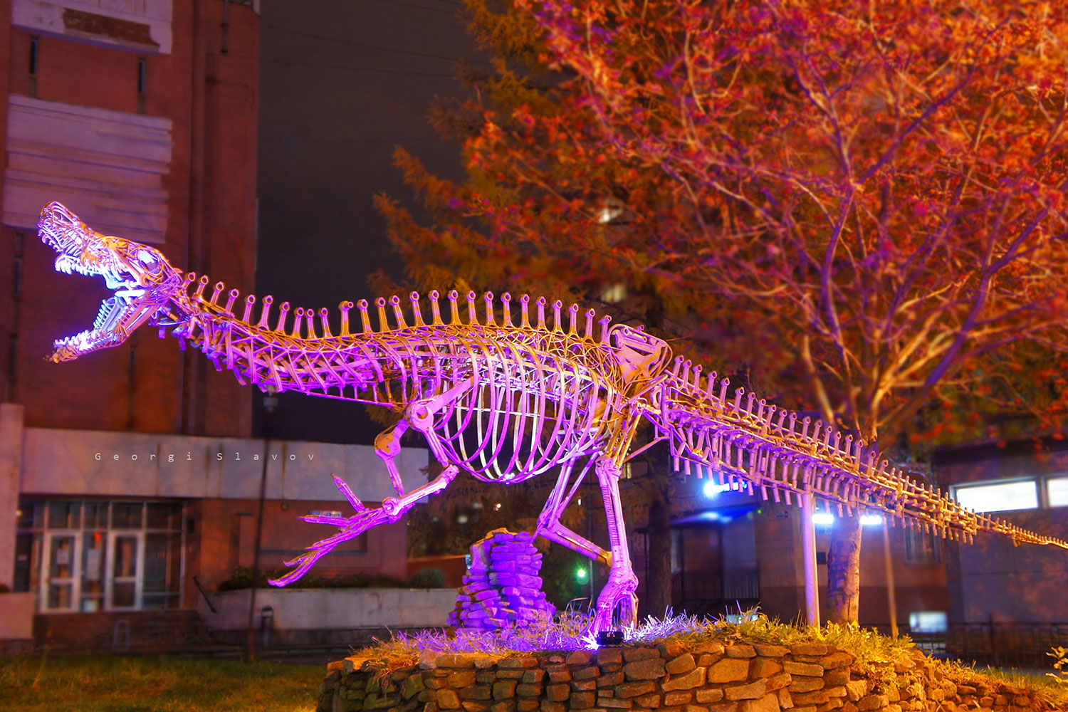 Фотохудожник светом раскрасил скелет динозавра в центре Ярославля