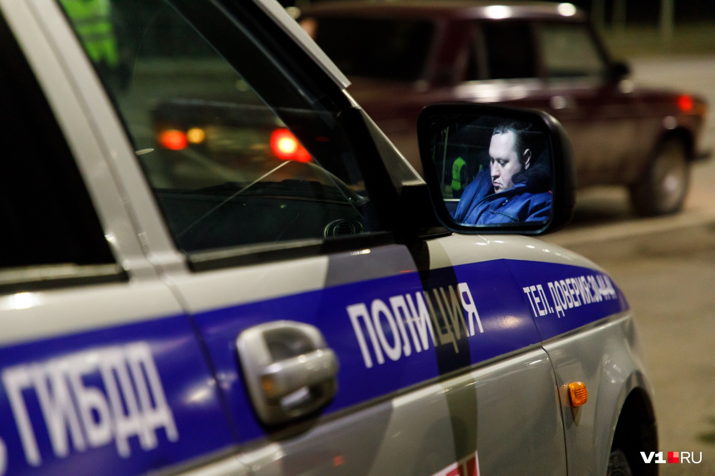 Бросился под колеса: из-за кабана пятилетняя девочка и мужчина попали в больницу под Волгоградом