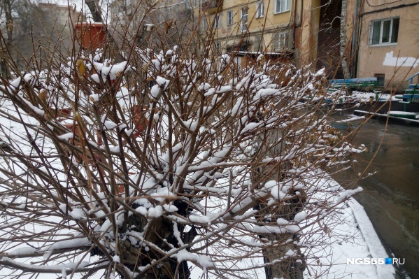 Погода снова расщедрилась на обильные осадки. На этот раз преимущественно в виде снега. Погода снова расщедрилась на обильные осадки. На этот раз преимущественно в виде снега. 