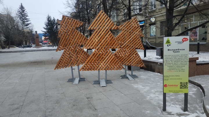 По Красноярску начали устанавливать необычные ёлки
