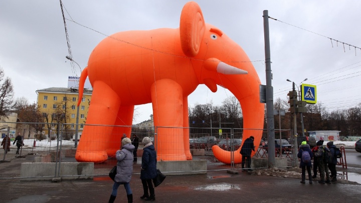 В центре Ярославля поселился оранжевый слон: видео