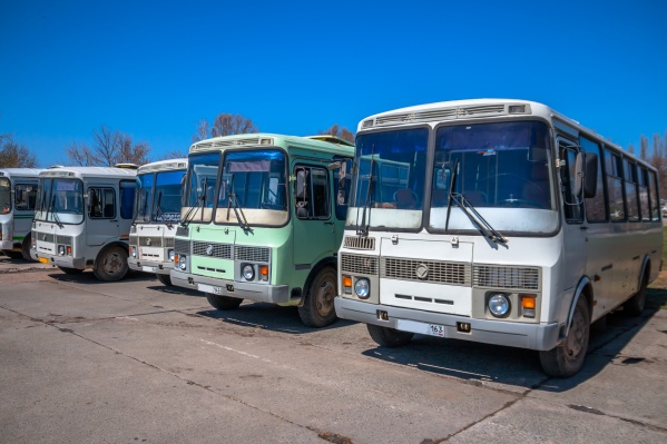 Автобусы выходят на линию нерегулярно Автобусы выходят на линию нерегулярно