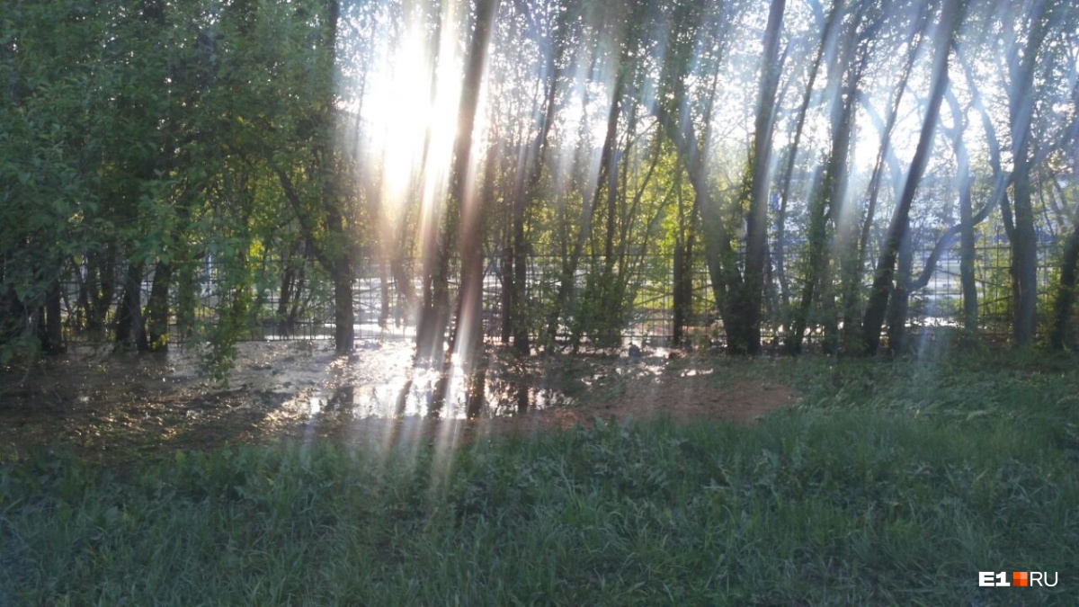 Вода бежит из-под земли»: на Санаторной затопило стадион | 29.05.2018 |  Екатеринбург - БезФормата